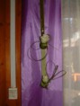 /album/galeria/a391463-407505615972588-204500884-n-jpg/